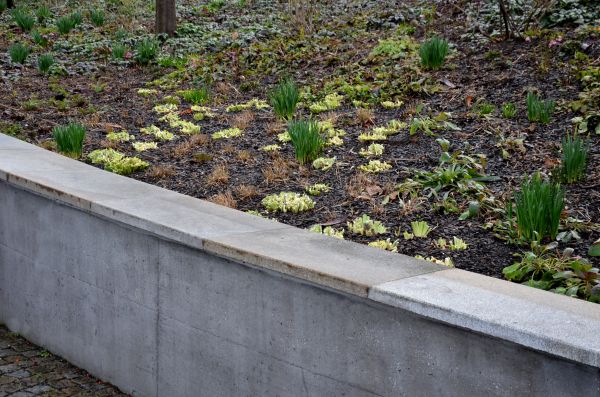 Concrete Wall Construction in Lansing