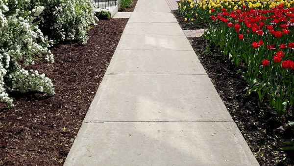 Cement Sidewalk Installation in Lansing