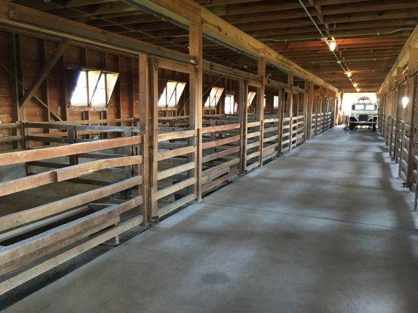 Barn Slab Construction in Lansing